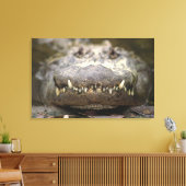 Amerikanische Alligatorin Leinwanddruck (Insitu (Wohnzimmer))