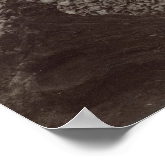 Amerikanische Bison Skulls als Boden für Dünger Poster (Ecke)