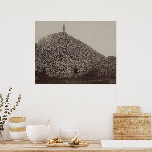 Amerikanische Bison Skulls als Boden für Dünger Poster (Küche)