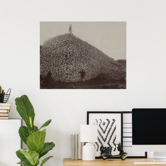 Amerikanische Bison Skulls als Boden für Dünger Poster (Heimbüro)
