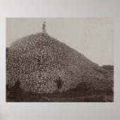 Amerikanische Bison Skulls als Boden für Dünger Poster (Vorne)