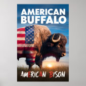 Amerikanische Bisons stehen auf dem Feld Poster (Vorne)