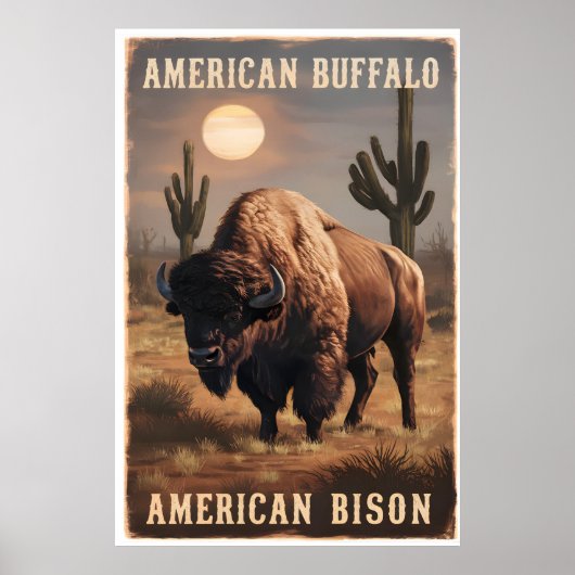 Amerikanische Bisons stehen in einer Wüste Poster (Vorne)