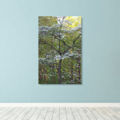 Amerikanische Blütenbaum - Cornus florida Leinwanddruck (Insitu (Holzboden))