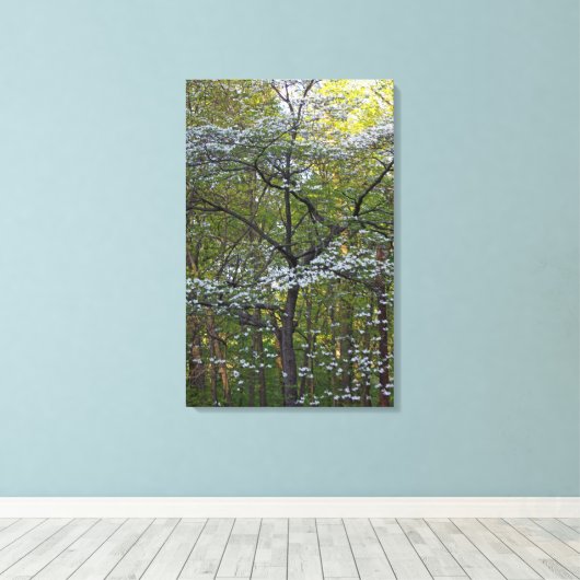 Amerikanische Blütenbaum - Cornus florida Leinwanddruck (Insitu (Holzboden))