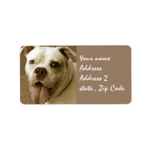 Amerikanische Bulldogge Adressaufkleber