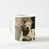 amerikanische Bulldogge Kaffeetasse (Vorderseite Links)
