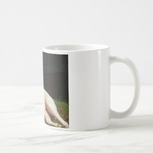 amerikanische Bulldogge Kaffeetasse