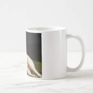 amerikanische Bulldogge Kaffeetasse