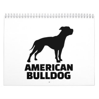 Amerikanische Bulldogge Kalender