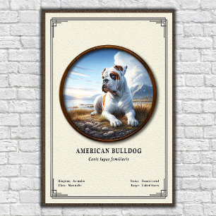Amerikanische Bulldogge Zoologie-Serie Poster