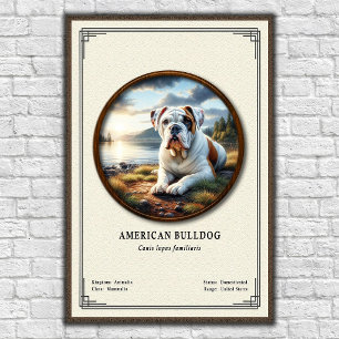 Amerikanische Bulldogge Zoologie-Serie Poster