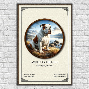 Amerikanische Bulldogge Zoologie-Serie Poster
