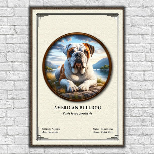 Amerikanische Bulldogge Zoologie-Serie Poster