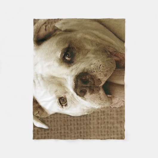 Amerikanische Bulldoggen-Fleecedecke Fleecedecke (Vorderseite)