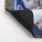 Amerikanische Bulldoggen-Welpen Mousepad (Ecke)
