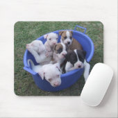 Amerikanische Bulldoggen-Welpen Mousepad (Mit Mouse)