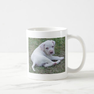 Amerikanische Bulldoggenwelpe Tasse
