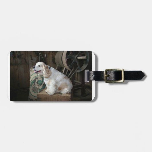 Amerikanische Cocker-Spaniel-Sitting Gepäckanhänger (Vorderseite horizontal)