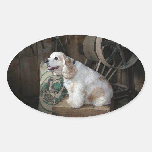 Amerikanische Cocker Spaniel Sitzgruppe Ovaler Aufkleber (Vorderseite)