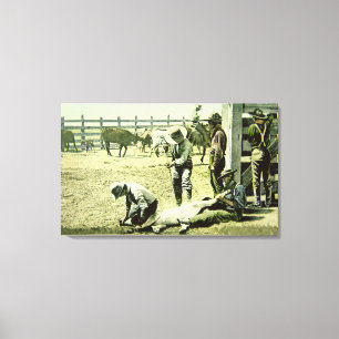 Amerikanische Cowboys, die ein Kalb, c.1900 (Foto, Leinwanddruck
