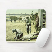 Amerikanische Cowboys, die ein Kalb, c.1900 (Foto, Mousepad (Mit Mouse)