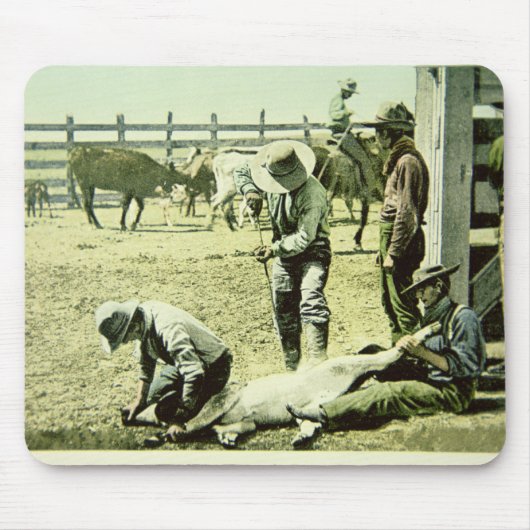 Amerikanische Cowboys, die ein Kalb, c.1900 (Foto, Mousepad (Vorne)