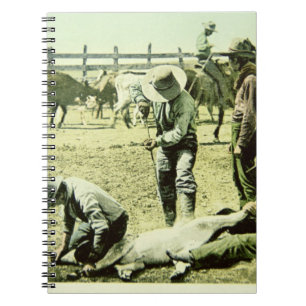 Amerikanische Cowboys, die ein Kalb, c.1900 (Foto, Notizblock