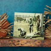 Amerikanische Cowboys, die ein Kalb markieren, c.1 Fotoplatte (Seite)