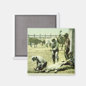 Amerikanische Cowboys, die ein Kalb markieren, c.1 Magnet (Vorderseite/Rückseite)