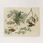 Amerikanische Crossbill aus Audubons Vögeln Amerik Puzzle (Horizontal)