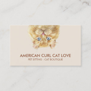 Amerikanische Curl-Katze Visitenkarte