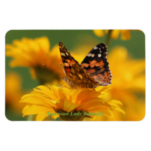 Amerikanische Dame Butterfly Magnet