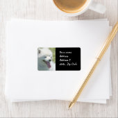 Amerikanische Eskimo-Versandmarke Adressaufkleber (Insitu)