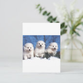 Amerikanische Eskimowelpenkarte Postkarte (Stehend Vorderseite)