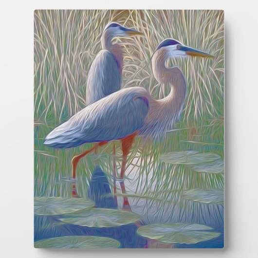 Amerikanische Fensterhaken Fotoplatte (Vorderseite)