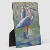 Amerikanische Fensterhaken Fotoplatte (Seite)