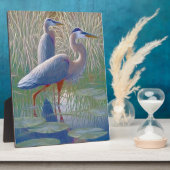 Amerikanische Fensterhaken Fotoplatte (Seite)