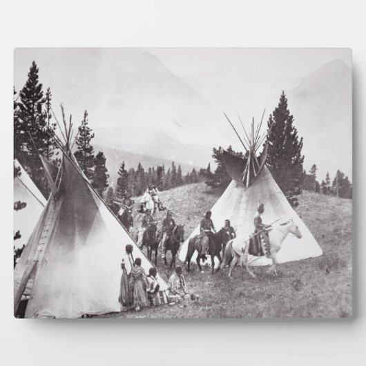 Amerikanische Fernkäfige, Montana, c.1900 (b/w) Fotoplatte (Vorderseite)