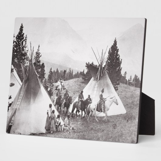 Amerikanische Fernkäfige, Montana, c.1900 (b/w) Fotoplatte (Seite)