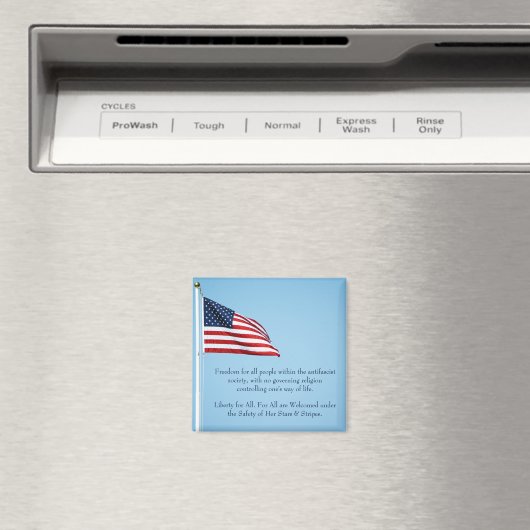 Amerikanische Flagge 2412 Magnet (In Situ (Geschirrspüler))