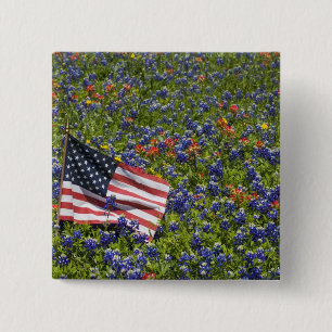 Amerikanische Flagge auf dem Gebiet blauer Mützen, Button