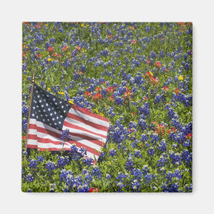 Amerikanische Flagge auf einem Feld aus blauen Bon Magnet