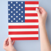 Amerikanische Flagge Flyer (Hand)
