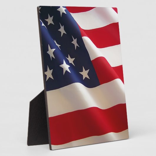 Amerikanische Flagge Fotoplatte (Seite)