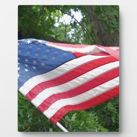 Amerikanische Flagge Fotoplatte (Vorderseite)