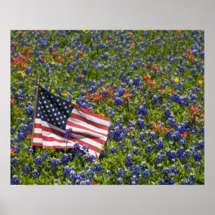 Amerikanische Flagge im Bereich der Blue Bonnets 2 Poster