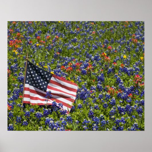 Amerikanische Flagge im Bereich der Blue Bonnets 2 Poster (Vorne)