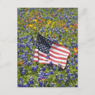 Amerikanische Flagge im Bereich der Blue Bonnets, Postkarte