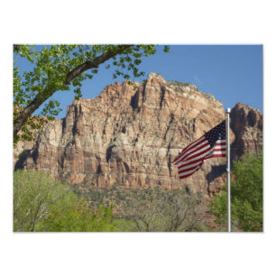 Amerikanische Flagge im Zion National Park I Fotodruck